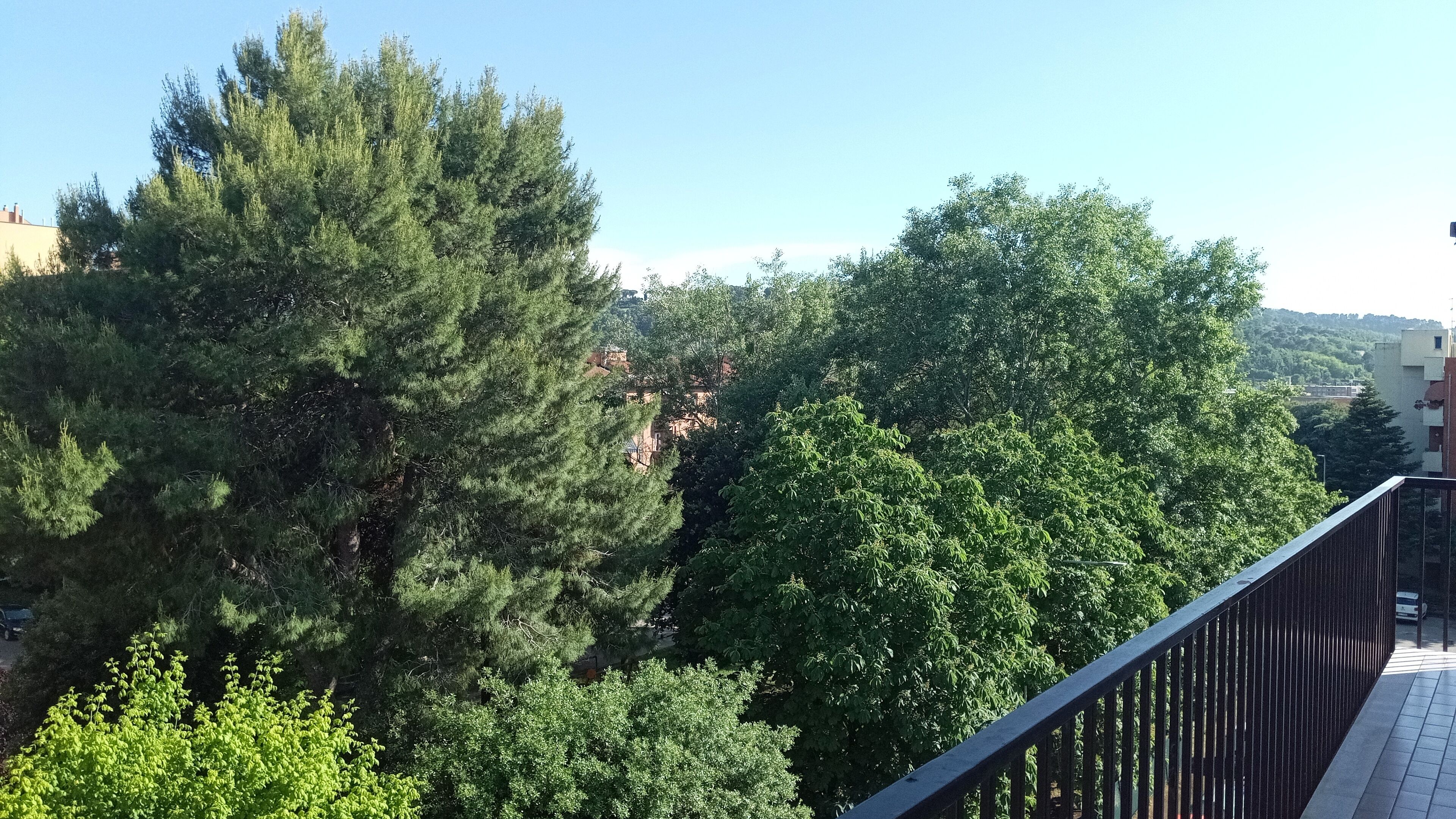 A balcony with a metal railing overlooking a densely wooded area with tall trees and a clear blue sky.