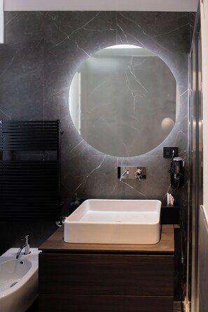 Shower, hair dryer, bidet, towels