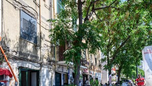 A narrow urban street lined with buildings, some with visible signage and storefronts. - Via Nuova Marina 121 - Appartamento 1 (Naples)