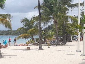 Een strandscène met palmbomen, mensen die ontspannen en een wateroppervlak op de achtergrond.