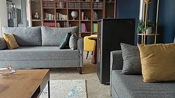 Smart TV, caminetto, libri