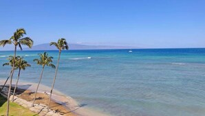 A beach with clear blue water, palm trees, and a distant mountain.