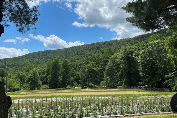 Terrein van de accommodatie