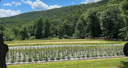 Cozy and Clean Farmhouse in Mountains near Gettysburg. No extra cleaning fees!
