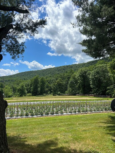 Cozy and Clean Farmhouse in Mountains near Gettysburg. No extra cleaning fees!