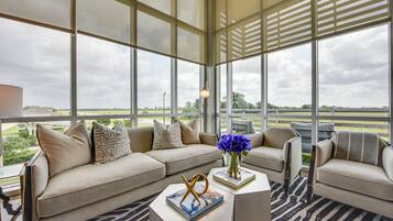 TV, fireplace, books