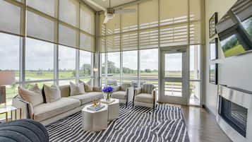 TV, fireplace, books