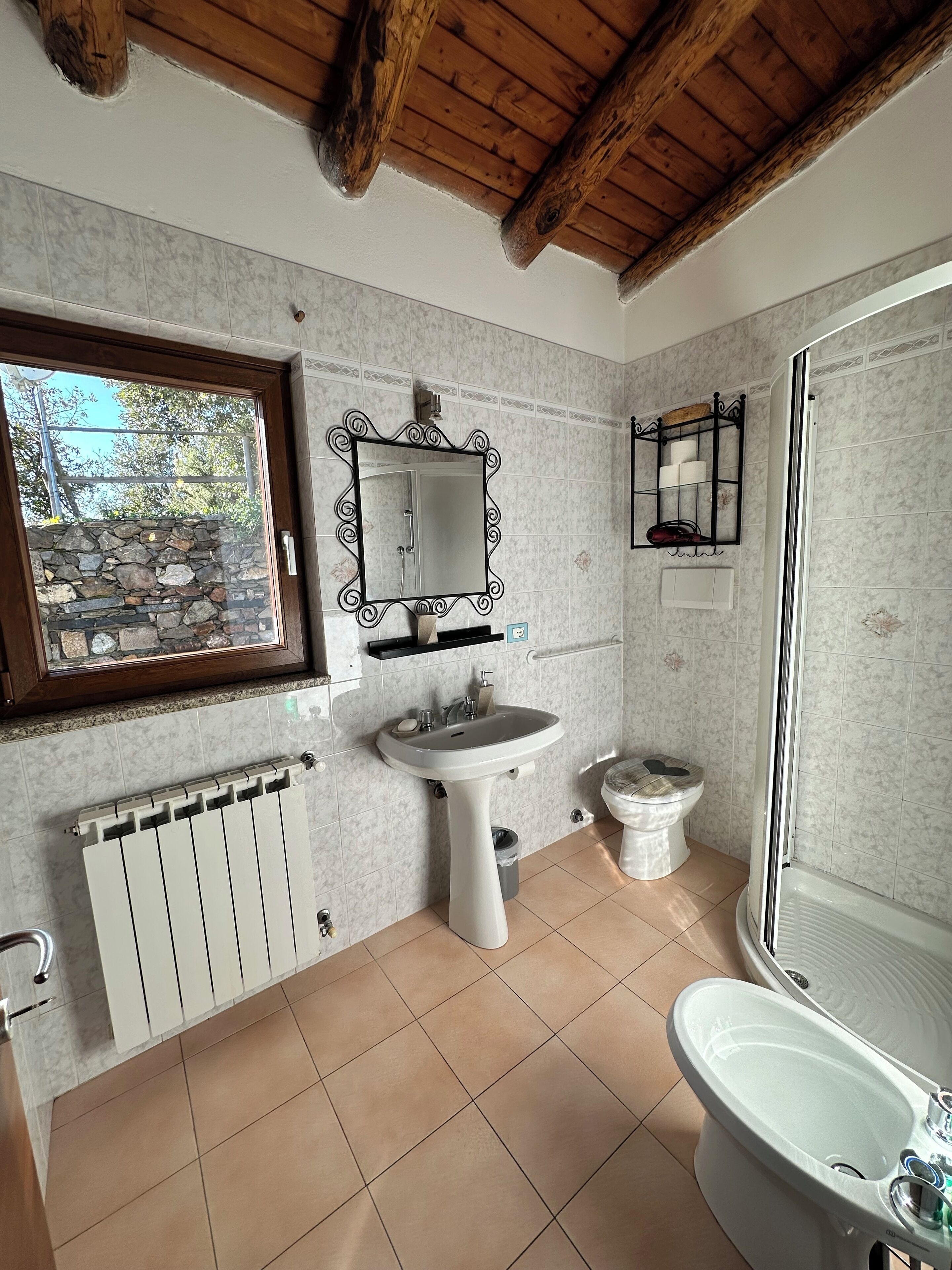 Shower, hair dryer, bidet, towels