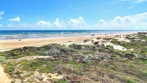 Una playa con arena, dunas y vegetación escasa.