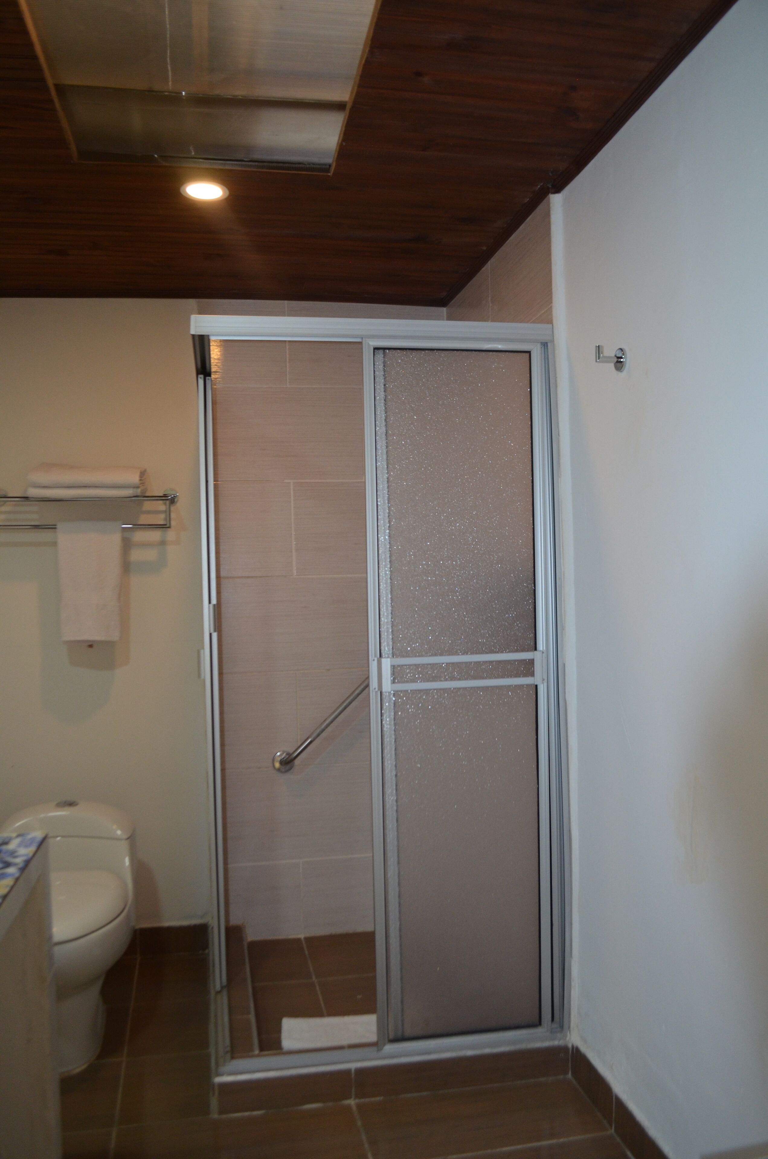 A bathroom with a shower, toilet, and towel rack.
