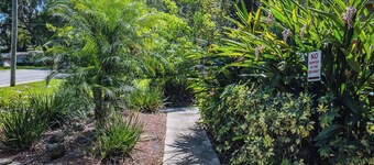 Downtown Lakeland - Be our Guest at Casa Serenada! - Pet friendly