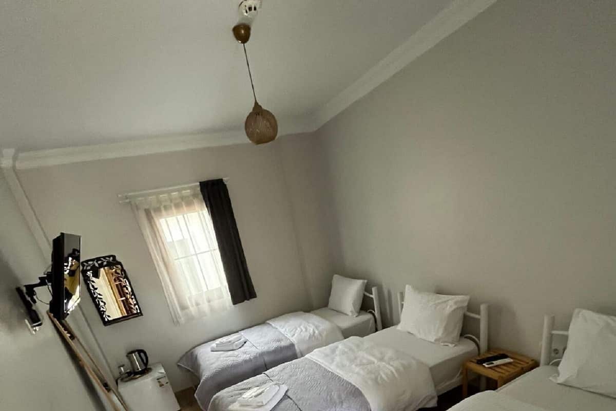 Standard Triple Room | Bar mini, Wi-fi percuma, cadar katil