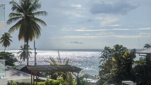 Una piscina en la azotea con vistas al océano, palmeras y una pérgola.