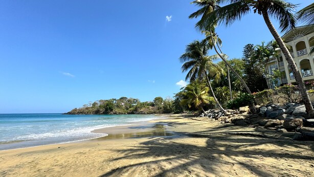 Una playa con agua azul cristalina, palmeras y un edificio con balcones.