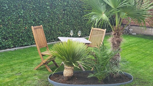 A patio area with a table and chairs, surrounded by potted plants and a brick wall. - Room-terrace of the Friends of Visé (Vise)