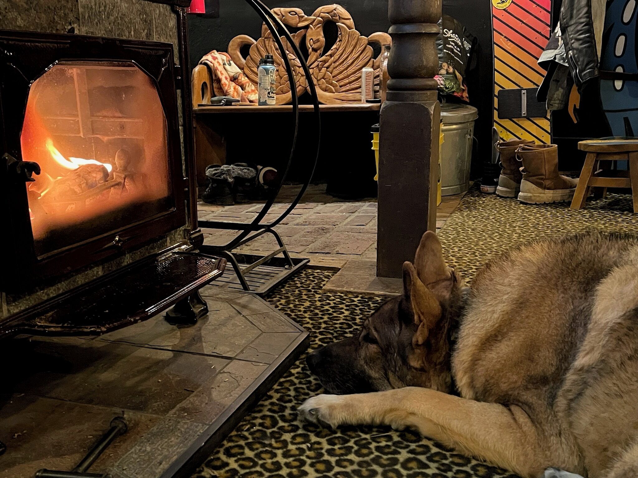 Un perro descansando sobre un tapete estampado frente a una estufa de leña.