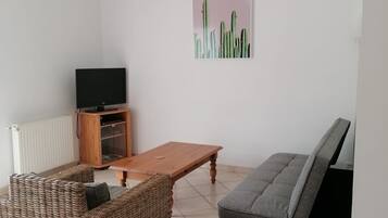 Télévision, lecteur de DVD, livres
