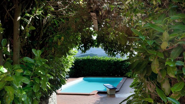 A swimming pool surrounded by lush greenery and a stone wall.