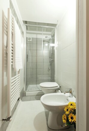 Shower, hair dryer, bidet, towels