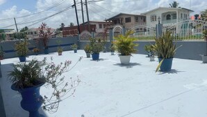 A rooftop with potted plants and a gated entrance.