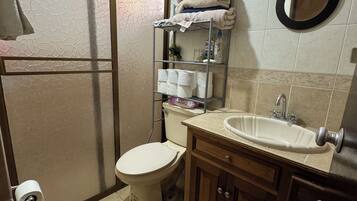 Shower, jetted tub, hair dryer, bidet
