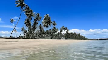 Suíte | Praia | Perto da praia