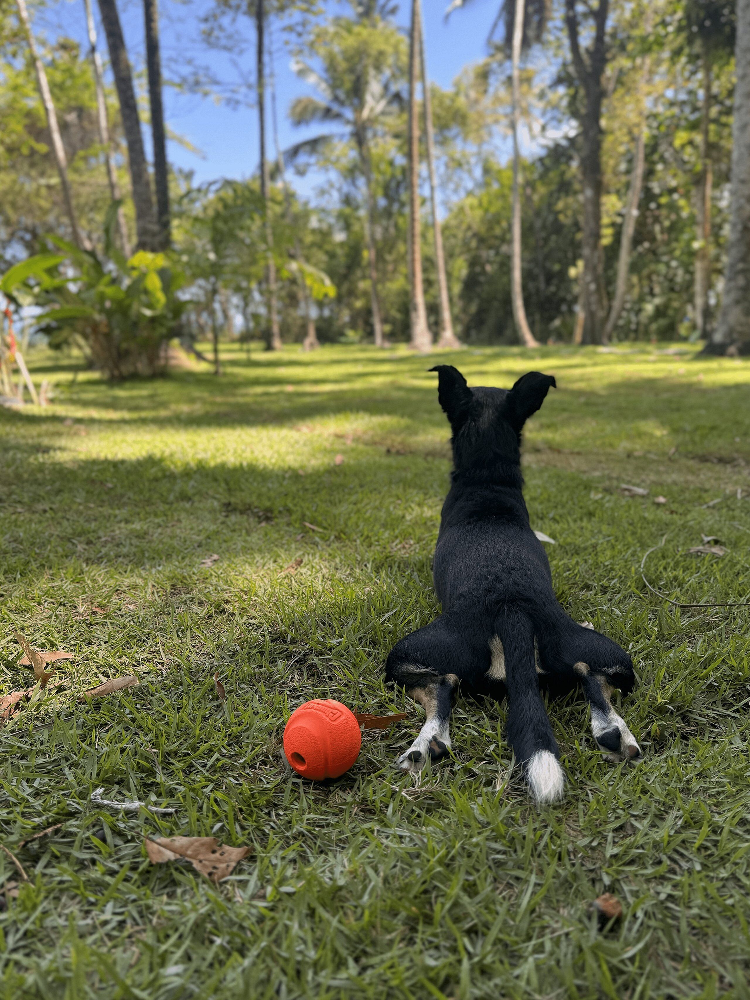 Área da propriedade