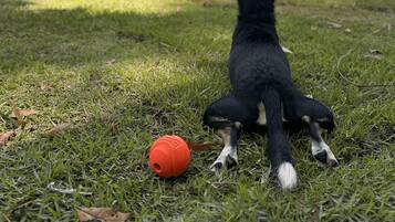 Área da propriedade