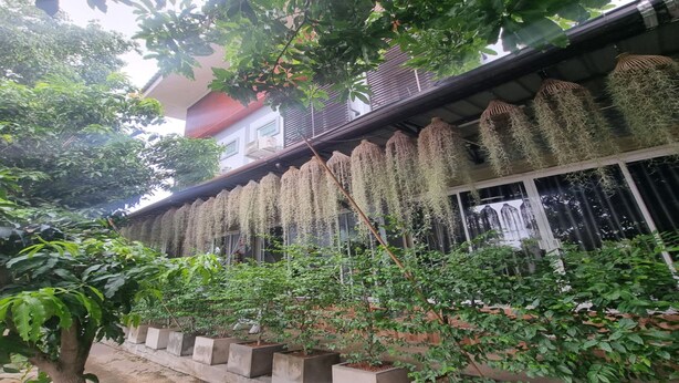 A building with hanging plants and potted plants along the walkway. - Patamanan Residence Ang Thong (Wiset Chai Chan)