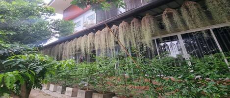 Majoituspaikan julkisivu