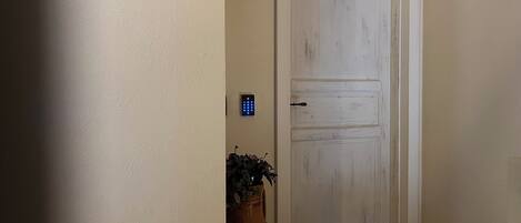 A hallway with a white door, a wall-mounted security device, and a potted plant.