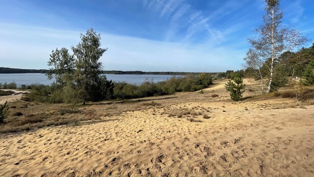Une plage de sable avec une végétation clairsemée et une vue dégagée sur un lac.