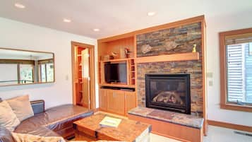 Smart TV, fireplace, books