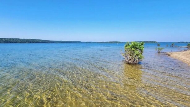 Klar udsigt over en strand med lavt vand, en lille ø med vegetation og en fjer beliggende kystlinje.