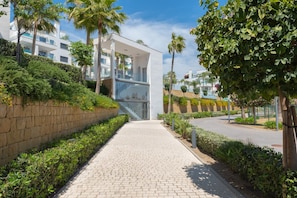 Un edificio moderno con un sendero pavimentado, rodeado de follaje y palmeras.