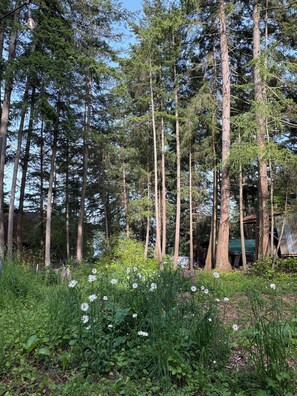 Parco della struttura