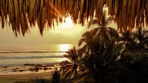 A beach scene with palm trees and a sunset. - El MURO MAJAHUA RETREAT CENTER (Troncones)