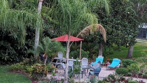 Une terrasse extérieure avec une table et des chaises, entourée d’une végétation luxuriante et d’un palmier.