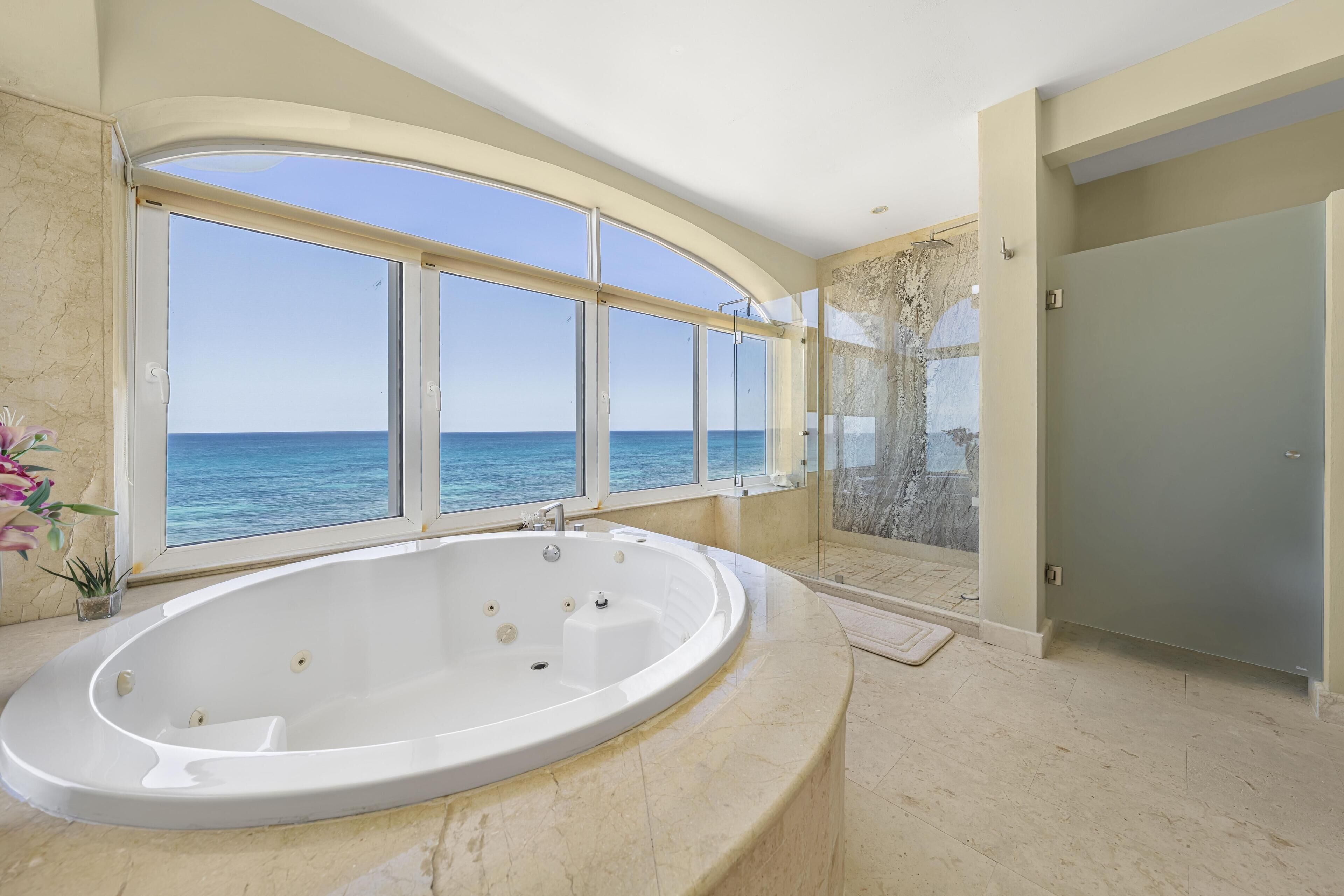 Shower, jetted tub, towels