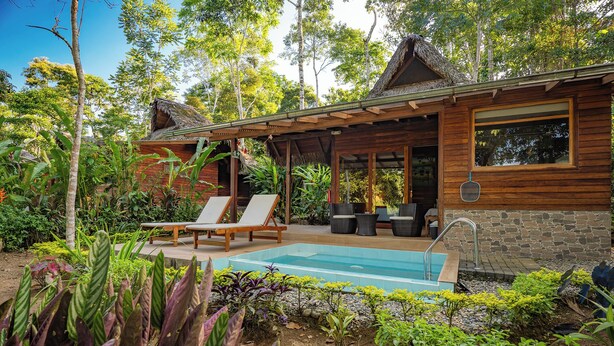 Uma casa de madeira com piscina, rodeada por vegetação exuberante e árvores.