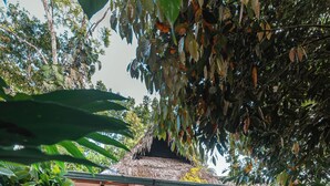 Uma cabana de madeira com telhado de palha, banheira de hidromassagem e um alpendre rodeado por plantas tropicais exuberantes.