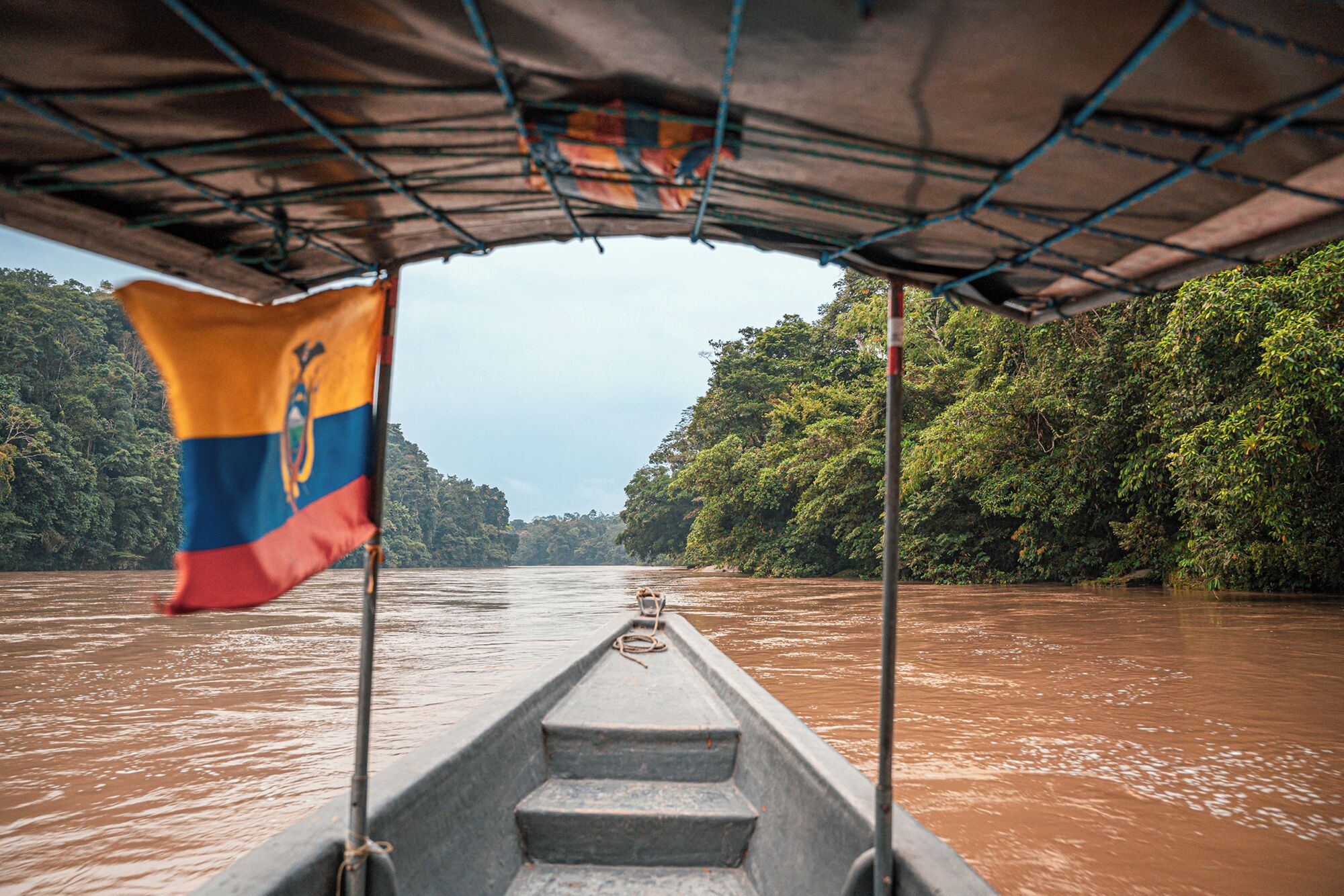 A boat with a flag, surrounded by a river and dense forest.