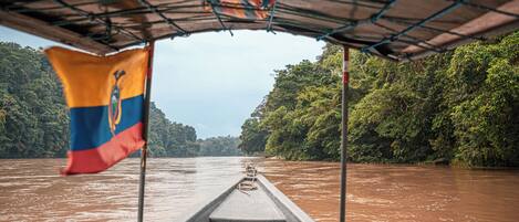 A boat with a flag, surrounded by a river and dense forest.