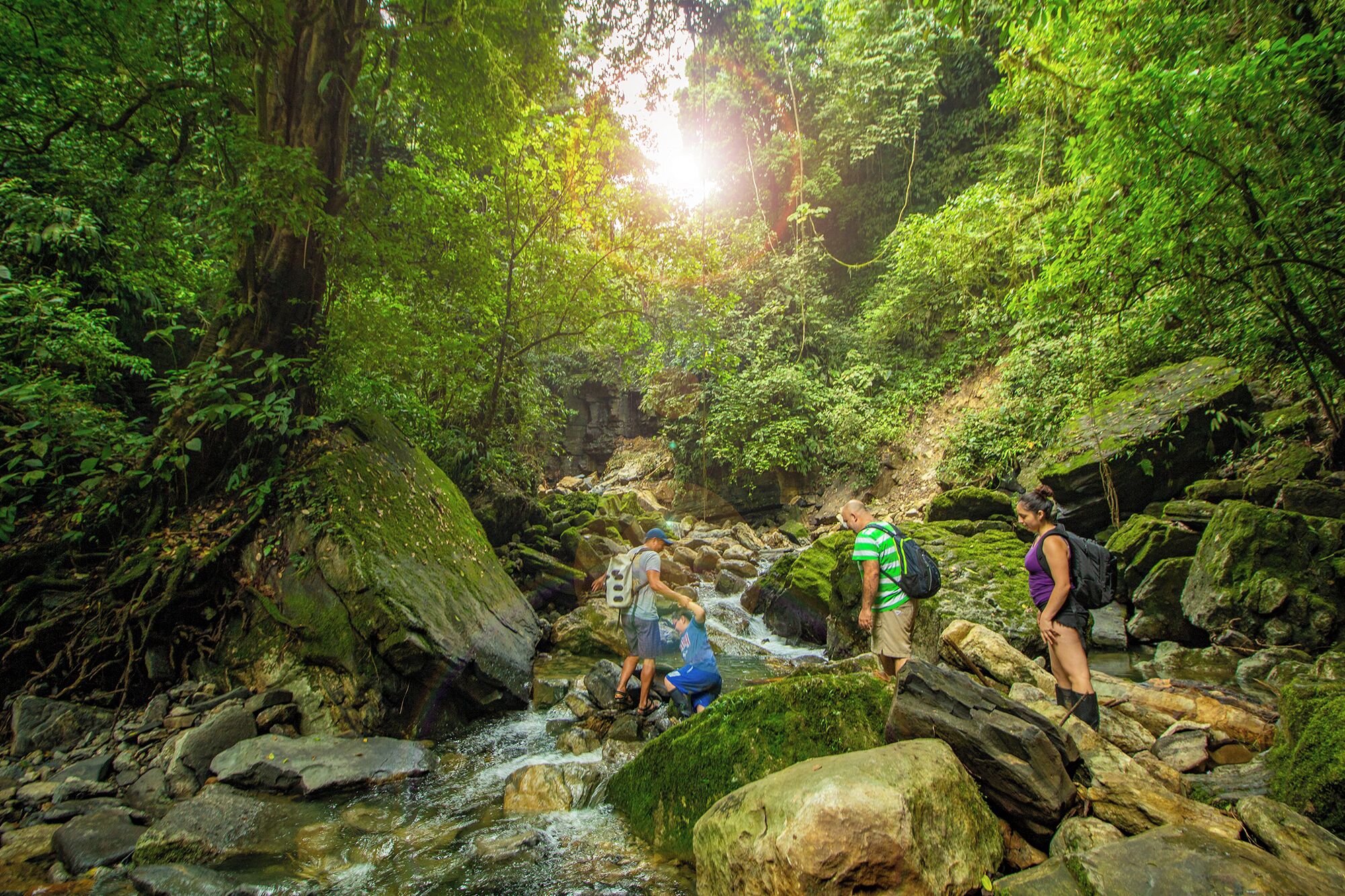 A group of people standing by a rocky stream in a forested area.