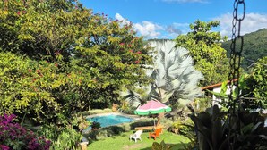 Un exuberante jardín con piscina, una sombrilla grande y diversas plantas.