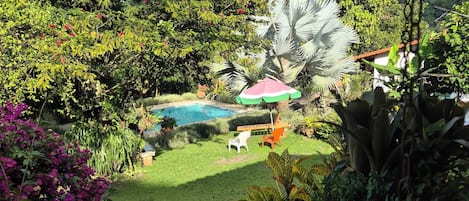 Un exuberante jardín con piscina, una sombrilla grande y diversas plantas.