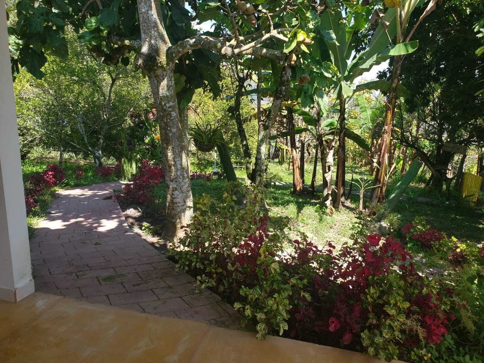 Family Studio Suite, 1 Bedroom, Pool View | Terrace/patio