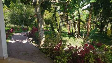 Family Studio Suite, 1 Bedroom, Pool View | Terrace/patio