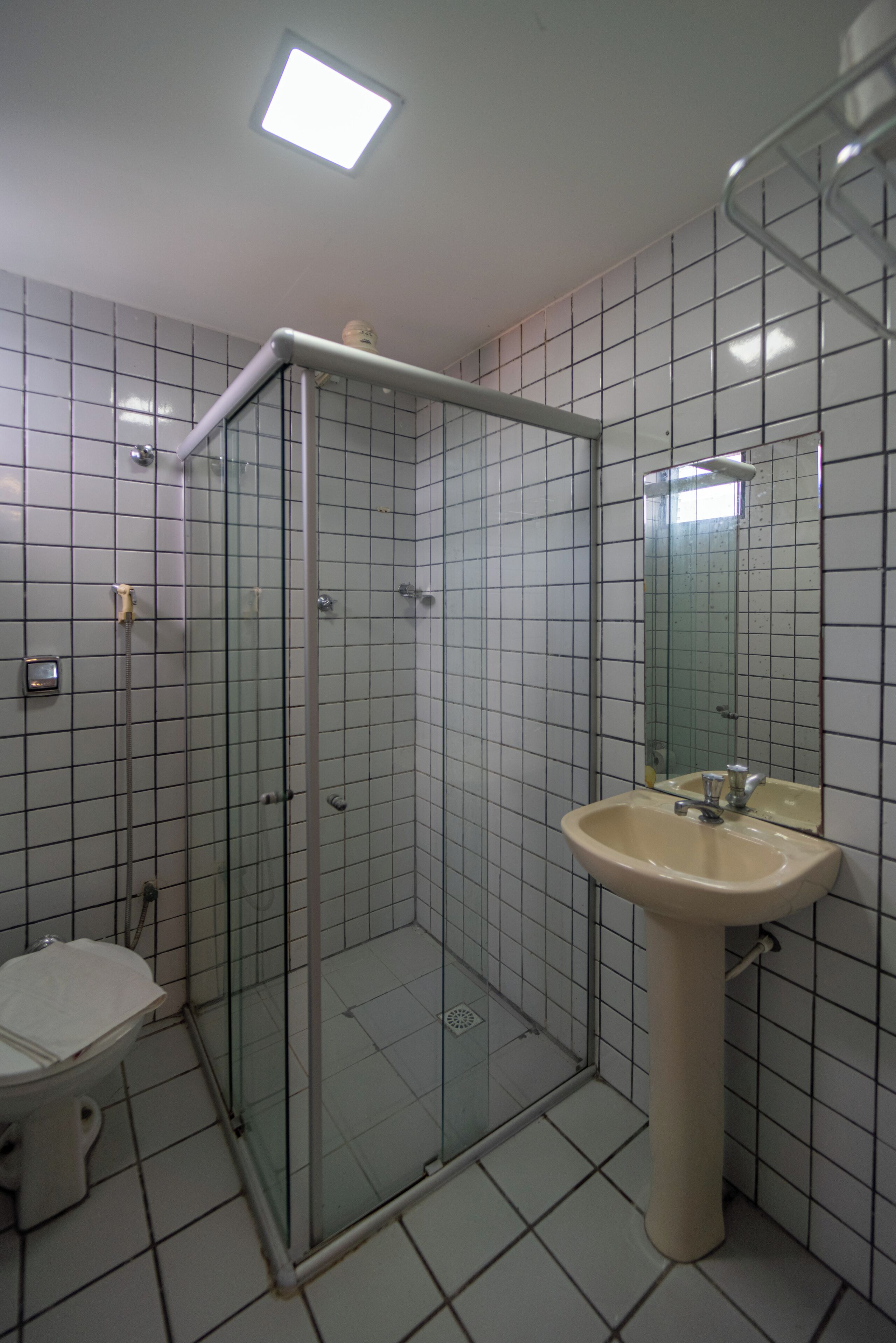 Un baño con ducha envuelta en vidrio, lavabo con espejo e inodoro.