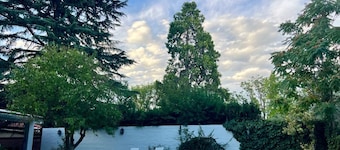 Cozy house located in the heart of Chacras de Coria- Malbec zone!